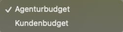 Budget_4